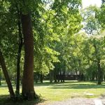 Hidden Lake Modern Group Center