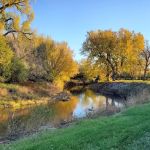 Gunderson Park
