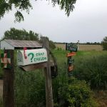 Camp Carlow Hipcamp