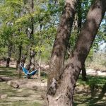 Caplinger Woods