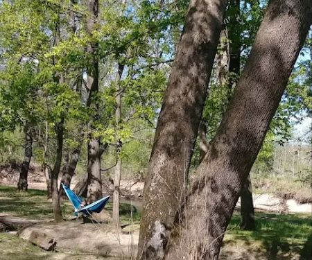 Caplinger Woods