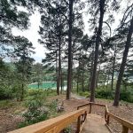 Beaver Lake Cabin