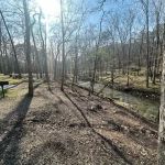 Camp Site C19