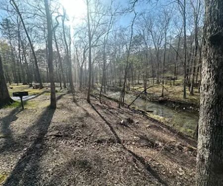 Camp Site C19