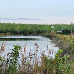 Midway Campground