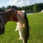 Lake Mike Conner