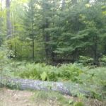 Hay Lake Campground