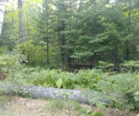 Hay Lake Campground