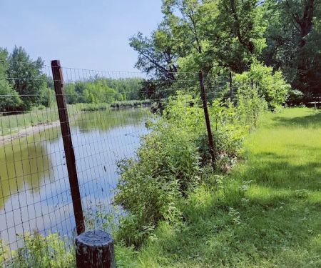 Jacobson Campground