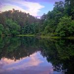 Camp Clearfork