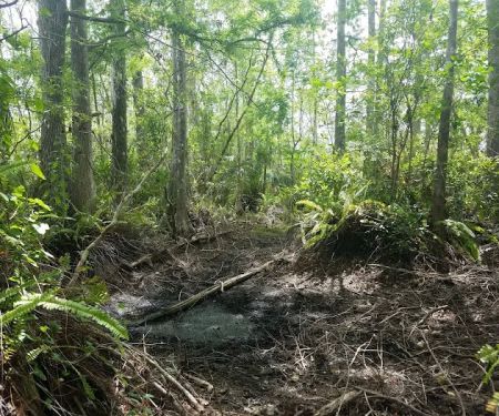 Frog Hammock Camp