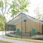 Timberline Glamping Naples