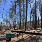 Campsite #60