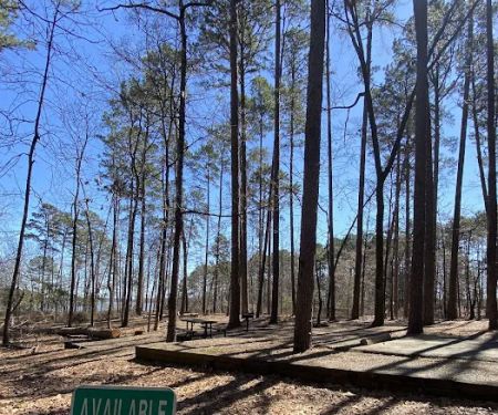 Campsite #60