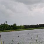Campers' Paradise