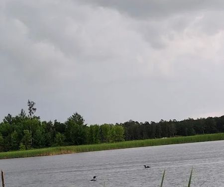 Campers' Paradise
