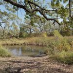 Group Campground