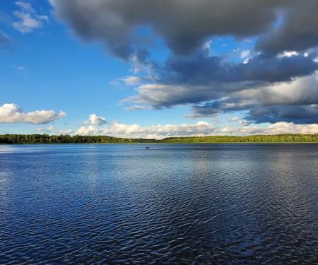 Chippewa National Forest Onegume Campground