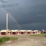 Cedar Tree Cabins