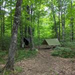 Leskinen Creek Camp