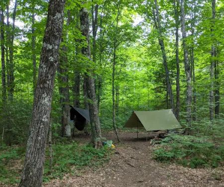 Leskinen Creek Camp