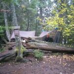 Blesener Creek Camp