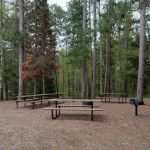 Group Camp