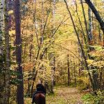 Stony Brook Horse Campground
