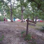 Campsite McDonald
