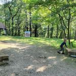Cub World Teepees