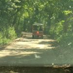 Ponderosa Trails