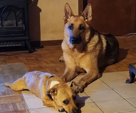 ScrappyJax