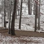 Alpine Ridge