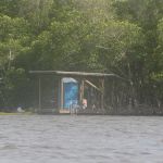 Shark River Chickee