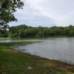 Lake Claude Bennett