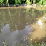 J & W Campground