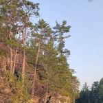 BWCA Campsite #990