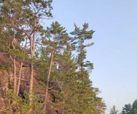 BWCA Campsite #990