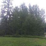 Samuelson Park