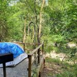 Ed Banks Campsite 2