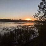 Bear Paw Campground