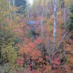 Crystal Creek Camp