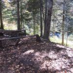 Ledge Camp