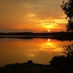 BWCA Campsite #1602