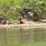 Pomona Outlet Campground