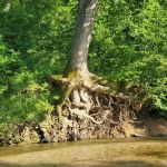 Whippoorwill Camp Ground