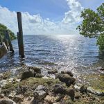 Port Bougainville Campsite