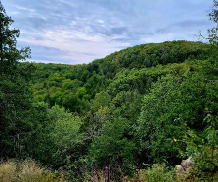 East Rollins Creek Camp