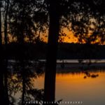BWCA Campsite #65