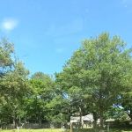 Snowdale Park